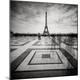 Photographic Print