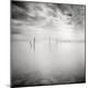 Premium Photographic Print