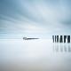 Premium Photographic Print