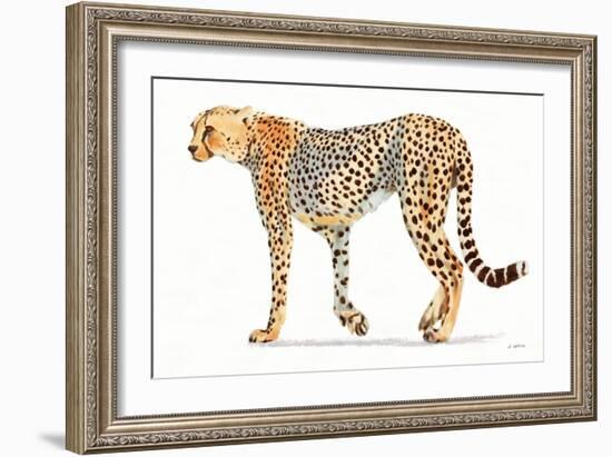 Wild and Free VII Bold-James Wiens-Framed Art Print