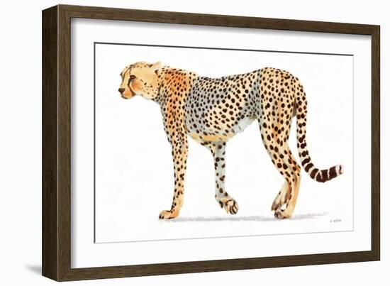 Wild and Free VII Bold-James Wiens-Framed Art Print