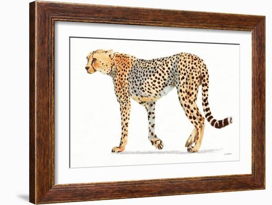 Wild and Free VII Bold-James Wiens-Framed Art Print