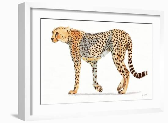 Wild and Free VII Bold-James Wiens-Framed Art Print