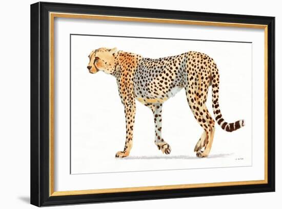 Wild and Free VII Bold-James Wiens-Framed Art Print