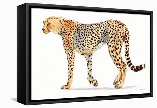 Wild and Free VII Bold-James Wiens-Framed Stretched Canvas