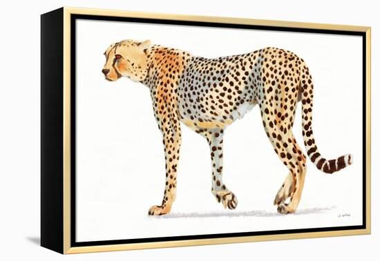 Wild and Free VII Bold-James Wiens-Framed Stretched Canvas