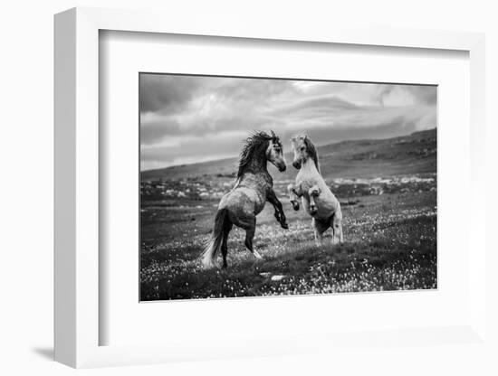 Wild and free-Vedran Vidak-Framed Photographic Print