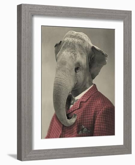 Wild Animals #1-J Hovenstine Studios-Framed Giclee Print