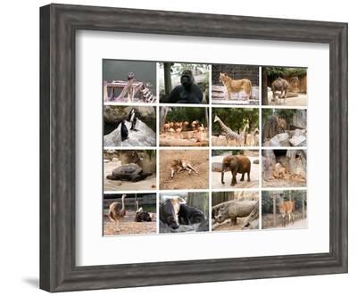 Wild Animals Collage' Art Print - miff32 Wild Animals Collage' Art Print - miff32