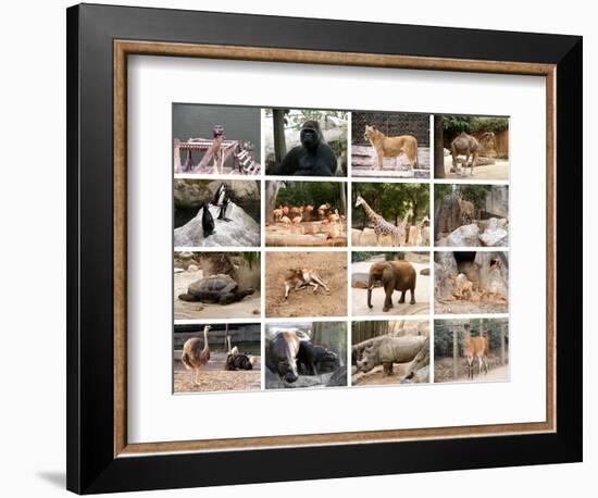 Wild Animals Collage-miff32-Framed Art Print