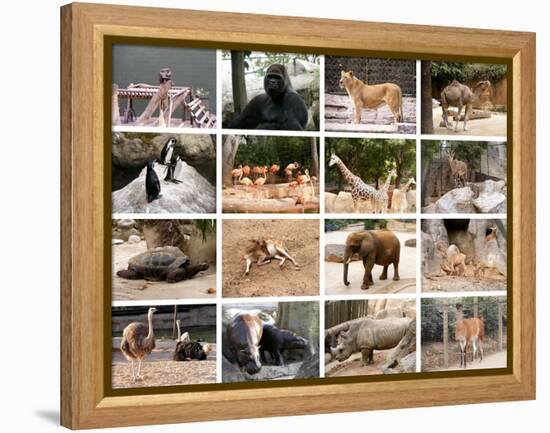 Wild Animals Collage-miff32-Framed Stretched Canvas