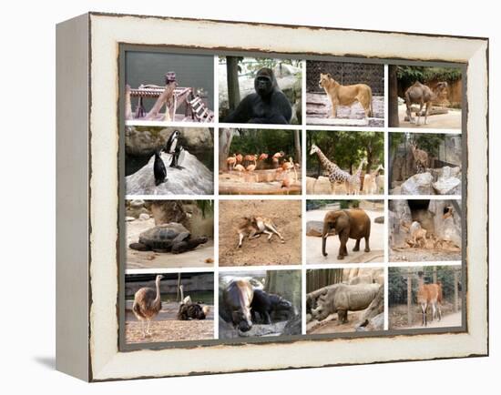 Wild Animals Collage-miff32-Framed Stretched Canvas