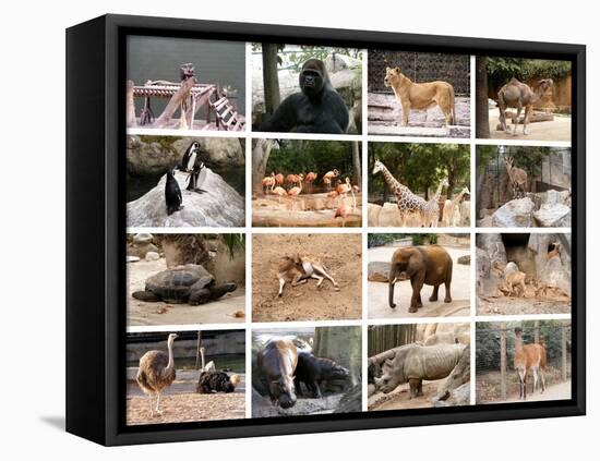 Wild Animals Collage-miff32-Framed Stretched Canvas