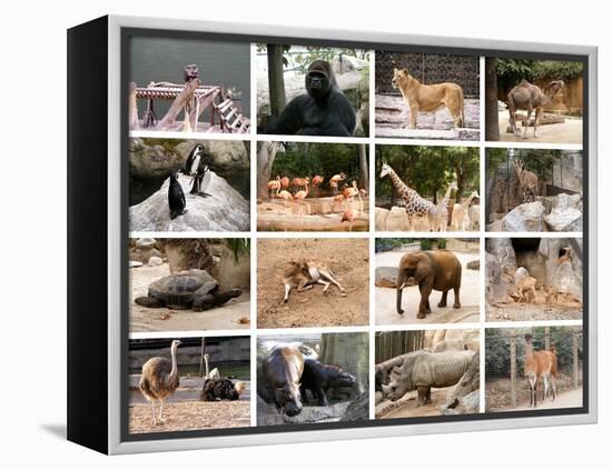 Wild Animals Collage-miff32-Framed Stretched Canvas