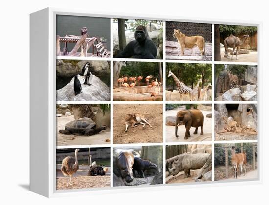 Wild Animals Collage-miff32-Framed Stretched Canvas