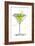 Wild Apple Martini-Jan Weiss-Framed Premium Giclee Print