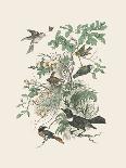 Honeybloom Bird II-Wild Apple Portfolio-Art Print
