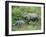 Wild Asian Elephant, Elephas Maximus, Feeding, Kaziranga National Park, Assam, India, Asia-Ann & Steve Toon-Framed Photographic Print