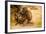 Wild Baboons, Cape Town, South Africa, Africa-Laura Grier-Framed Photographic Print