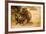 Wild Baboons, Cape Town, South Africa, Africa-Laura Grier-Framed Photographic Print