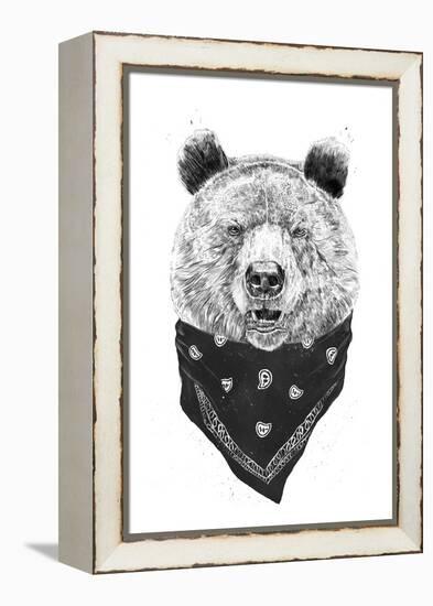 Wild Bear-Balazs Solti-Framed Premier Image Canvas