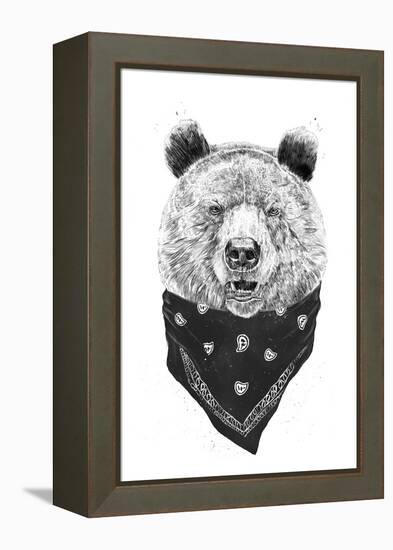 Wild Bear-Balazs Solti-Framed Premier Image Canvas