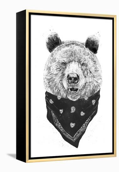 Wild Bear-Balazs Solti-Framed Premier Image Canvas