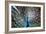 Wild Beauty II-Gail Peck-Framed Photographic Print