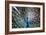 Wild Beauty II-Gail Peck-Framed Photographic Print