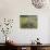 Wild Bergamot, Black Eyed Susans, Michigan, USA-Adam Jones-Photographic Print displayed on a wall