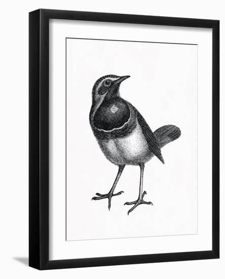 Wild Birds III-Maria Mendez-Framed Giclee Print