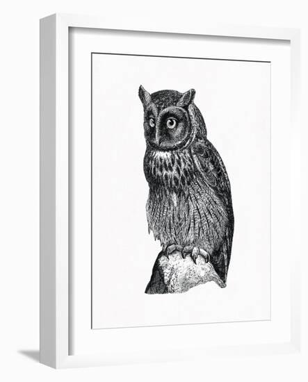 Wild Birds IV-Maria Mendez-Framed Giclee Print