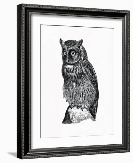 Wild Birds IV-Maria Mendez-Framed Giclee Print