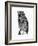 Wild Birds IV-Maria Mendez-Framed Giclee Print