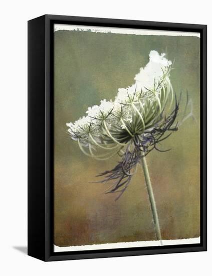Wild Bloom-Karen Williams-Framed Premier Image Canvas