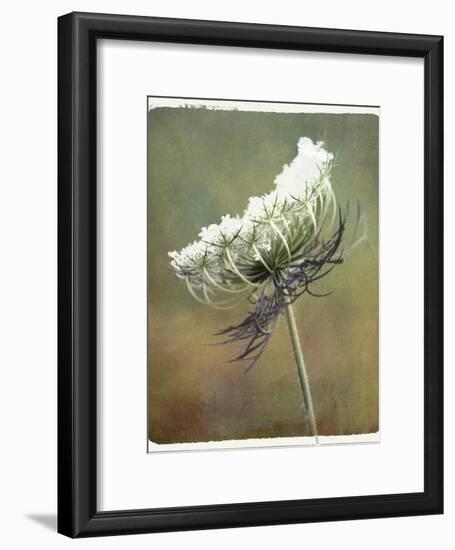 Wild Bloom-Karen Williams-Framed Photographic Print