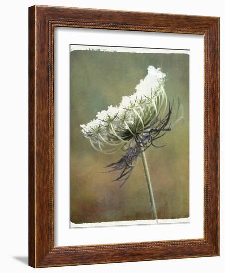 Wild Bloom-Karen Williams-Framed Photographic Print