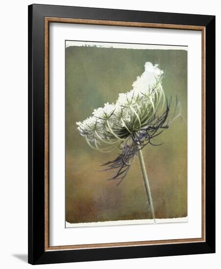 Wild Bloom-Karen Williams-Framed Photographic Print