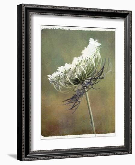 Wild Bloom-Karen Williams-Framed Photographic Print