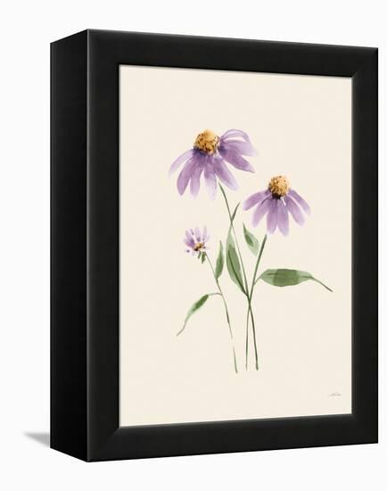 Wild Blooms I-Katrina Pete-Framed Stretched Canvas