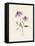 Wild Blooms I-Katrina Pete-Framed Stretched Canvas