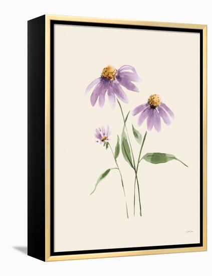 Wild Blooms I-Katrina Pete-Framed Stretched Canvas