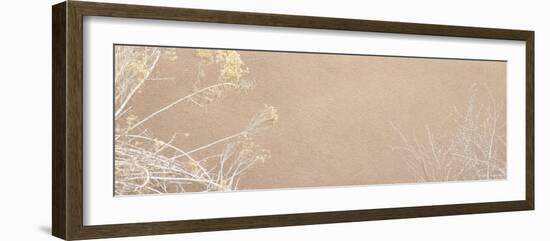 Wild Blossoms-Nicole Katano-Framed Photo