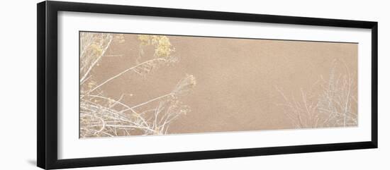 Wild Blossoms-Nicole Katano-Framed Photo