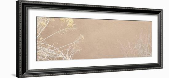 Wild Blossoms-Nicole Katano-Framed Photo