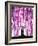 Wild Blossoms-Marc Allante-Framed Giclee Print