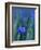 Wild Blue Flax (Linus Perenne Lewisii), Grand Teton National Park, Wyoming-James Hager-Framed Photographic Print