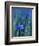 Wild Blue Flax (Linus Perenne Lewisii), Grand Teton National Park, Wyoming-James Hager-Framed Photographic Print