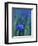 Wild Blue Flax (Linus Perenne Lewisii), Grand Teton National Park, Wyoming-James Hager-Framed Photographic Print