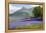 Wild Bluebells (Hyacinthoides Non-Scripta) Beside Loch Leven-Ruth Tomlinson-Framed Premier Image Canvas